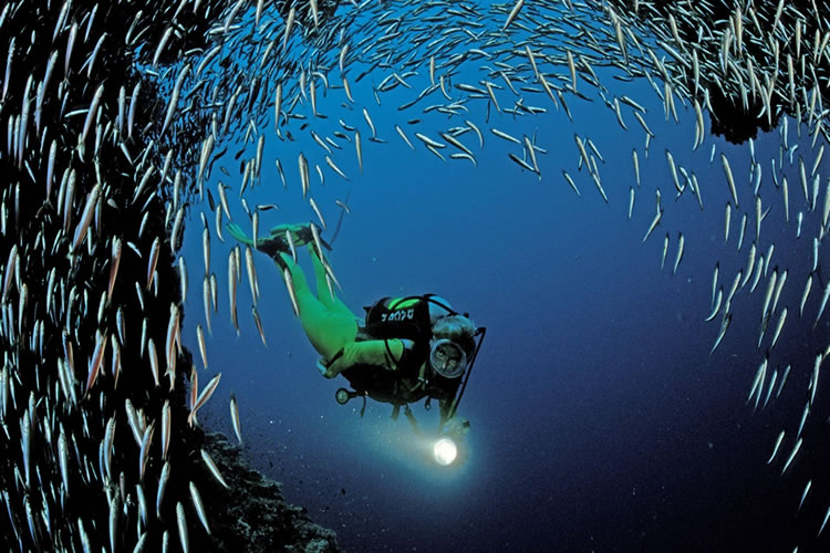 Scuba Diving in Sri Lanka